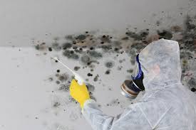 Mold Remediation for Rental Properties in Rialto, CA